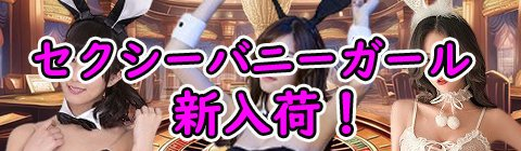 セクシーバニーガールシリーズ登場！